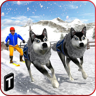 sled dog racing 2017