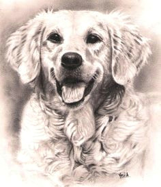 art inspiration drawing dog barking animal drawings pencil drawings drawing animals pet portraits dog art dog sketches art van