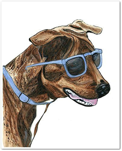 brindle dog in blue sunglasses watercolor art print unframed 8 x 10 brindle dog