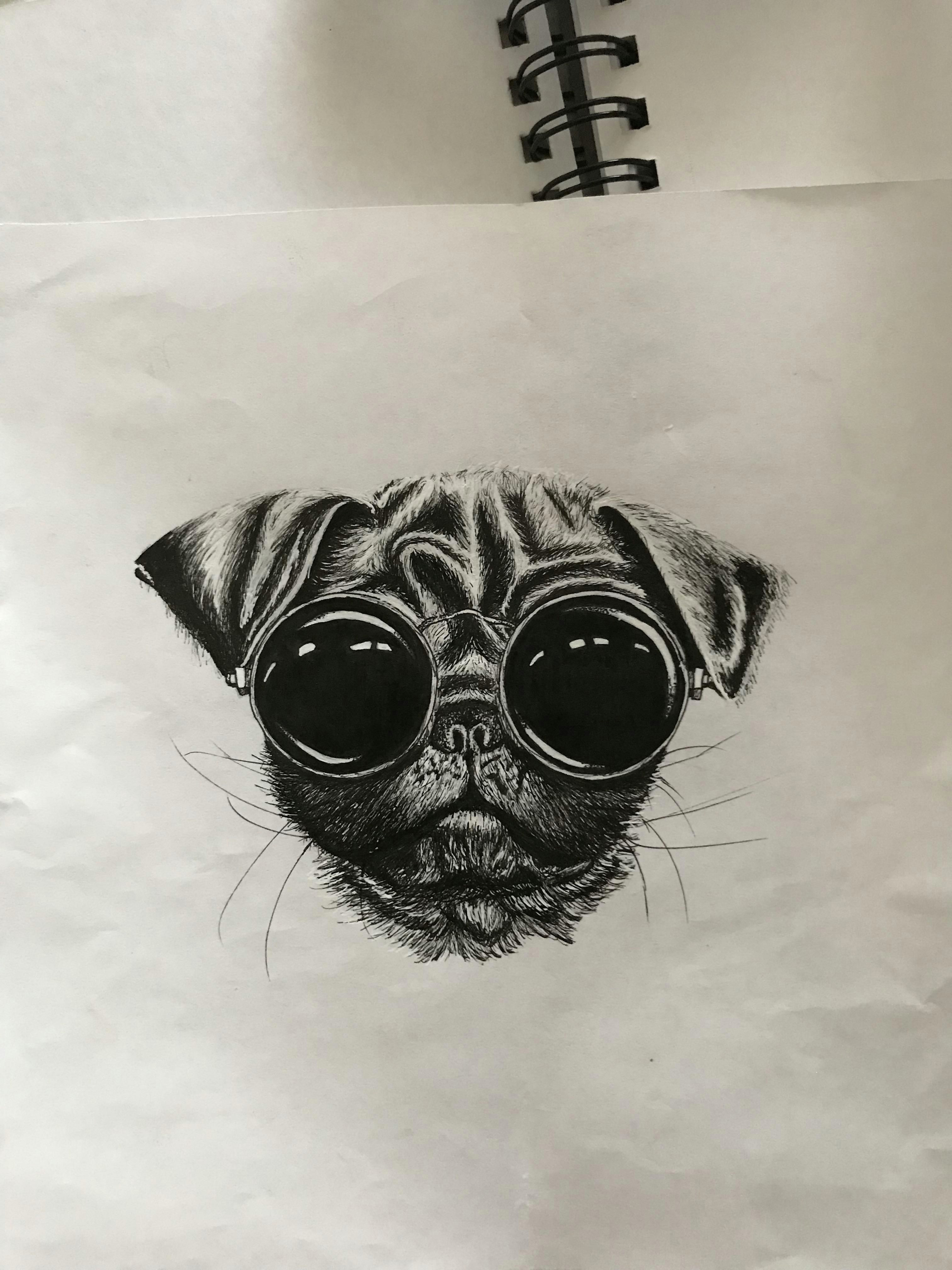just a drawing of a pug in some glasses i redd it