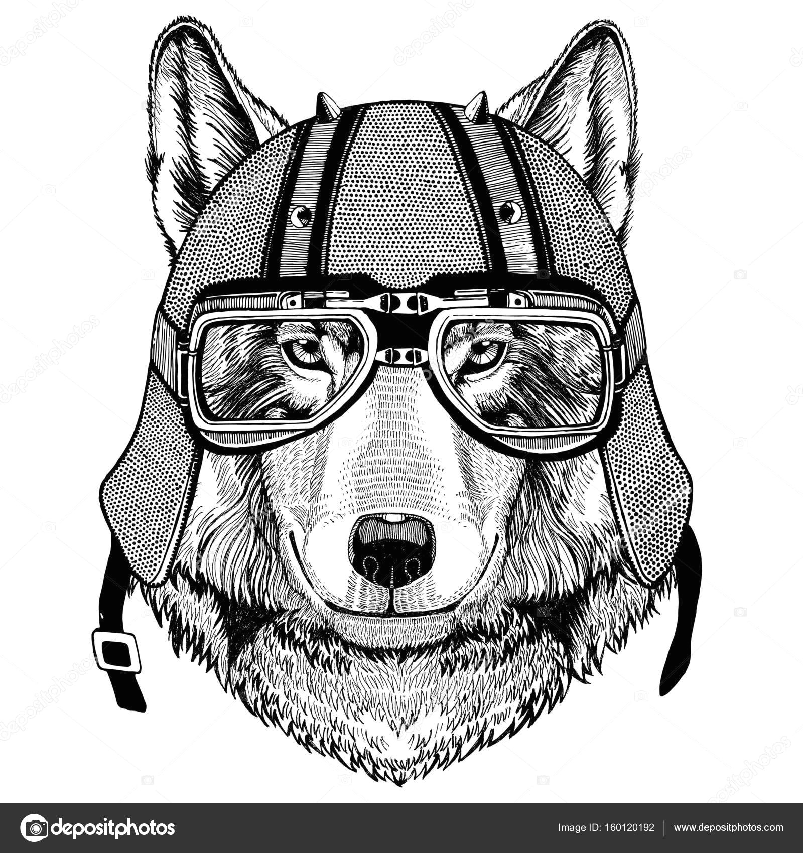 wolf dog wearing biker helmet animal with motorcycle leather helmet vintage helmet for bikers aviator helmet
