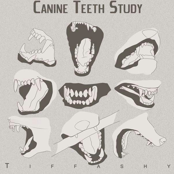 d d d d dod d d d n n n d d d d n teeth drawing furry drawing how to draw teeth how to draw