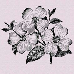 dogwood flower bloom rubber stamp 3815t by 100proofpress on etsy 8 00 dogwood flower tattoos