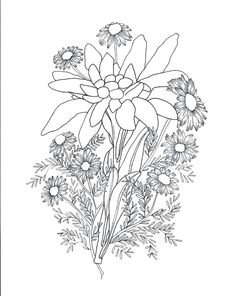 edelweiss chamomile tattoo sketch
