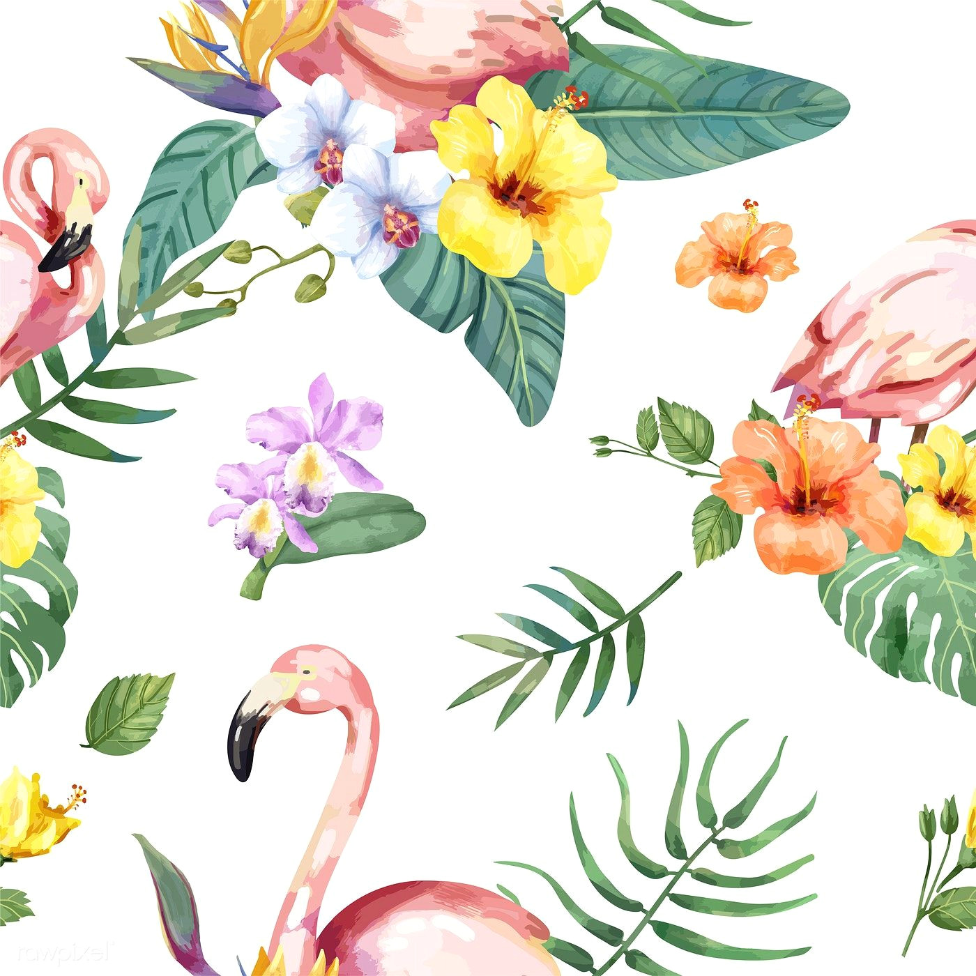 hand drawn flamingo bird with tropical flowers premium image by rawpixel com