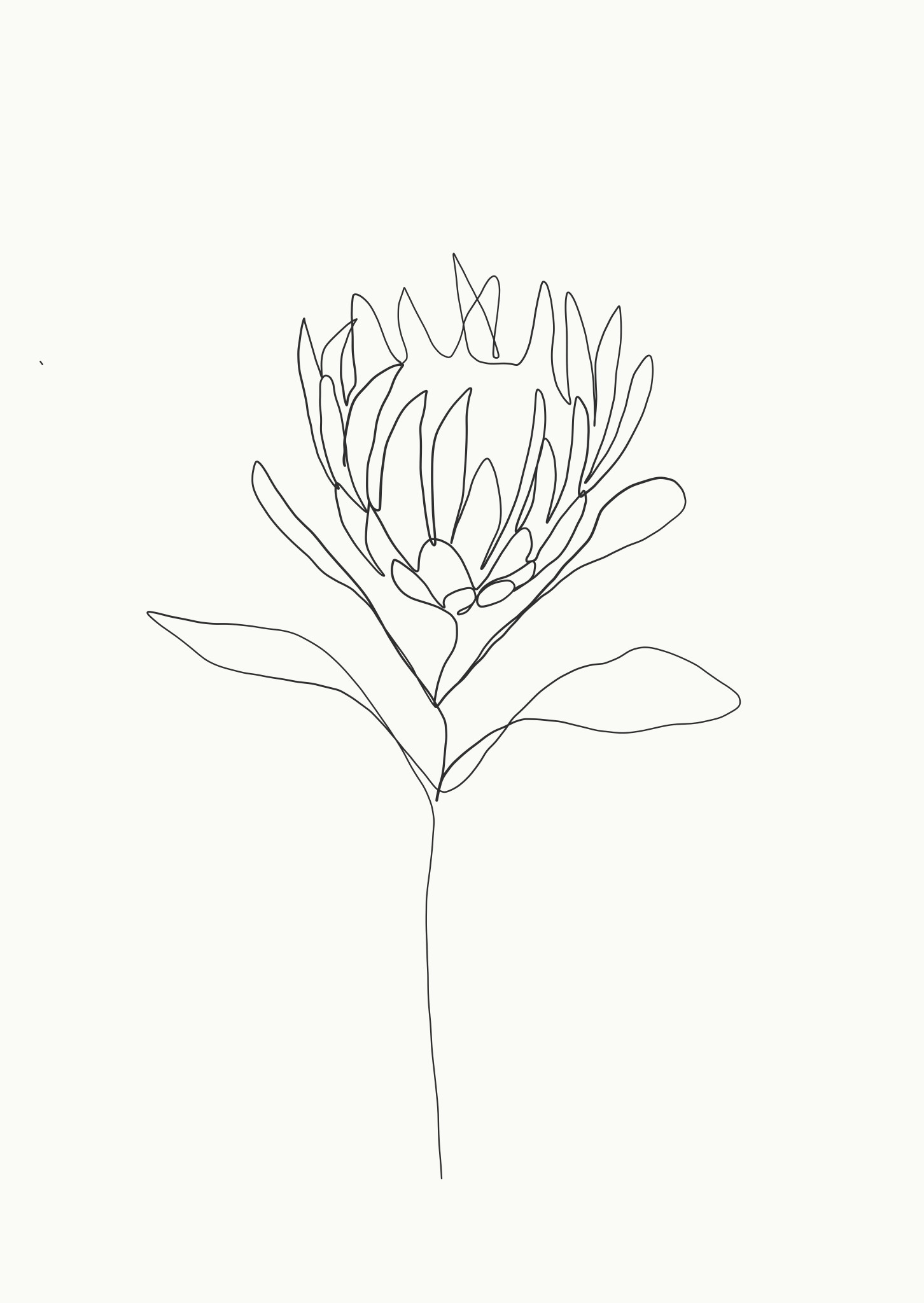 flower line drawings line drawing tattoos botanical line drawing line drawing art