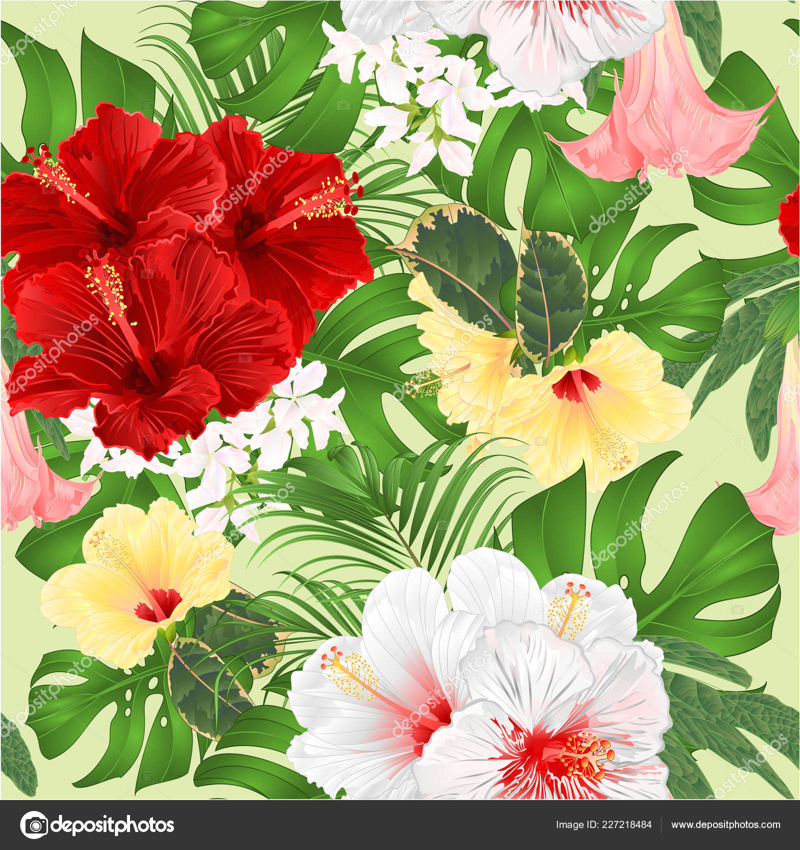 seamless texture bouquet tropical flowers floral arrangement beautiful red white stock vector