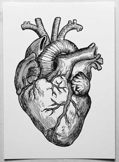 heart a4 poster of my original ink drawing by dianastanga on etsy 12 01 royalty