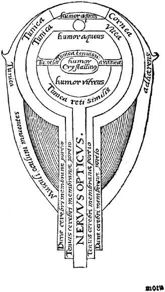 alhazen ibn al haytham diagram of the eye