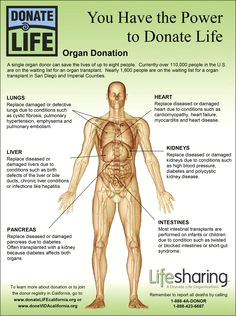from organ owner to organ donor feed the data monster donation quotes living kidney