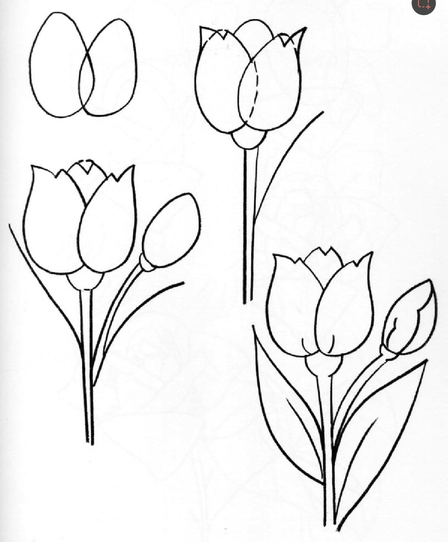 to draw flowers flowers
