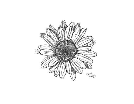 image result for daisy chain drawing