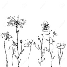 illustration of rectangular floral compositions with ink drawing herbs and flowers in the square doodle wild plants monochrome black line drawing floral