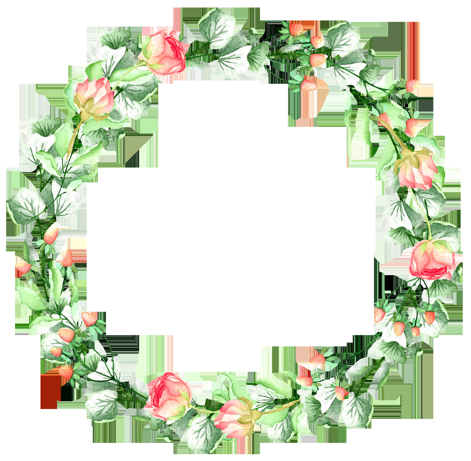 boarders and frames watercolor illustration floral watercolor art hub frame wreath