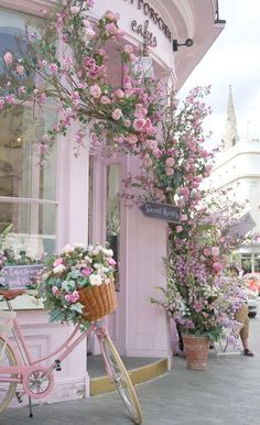 pretty pink doorway with climbing flowers anthropologie a flower shop