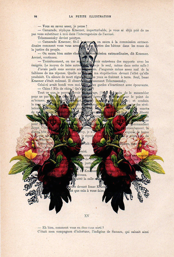 peony lungs anatomy print on 1900s antique page the genuine antique paper i use comes