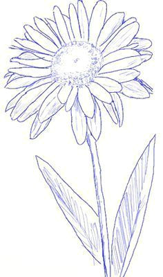 how to draw a daisy step 4 daisy drawing drawing flowers daisy painting
