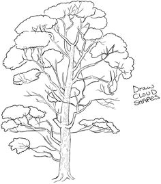 how to draw trees drawing realistic trees in simple steps