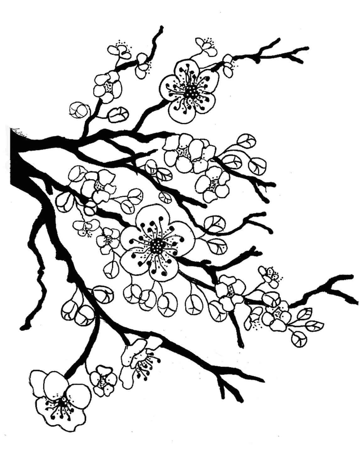 sakura bloom drawing lotus blossom coloring page full bloom