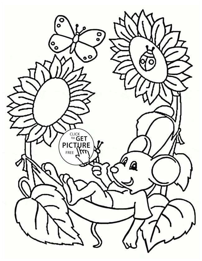 new cool vases flower vase coloring page pages flowers in a top i 0d concept