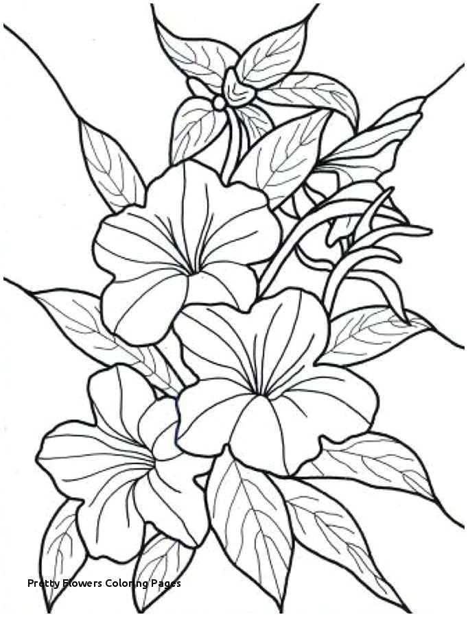 vases flower vase coloring page pages flowers in a top i 0d and free