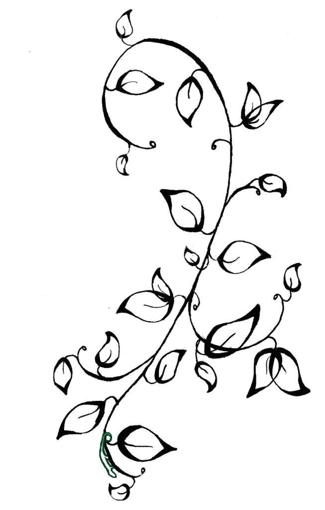 how to draw vines good drawing of a vine clipart best