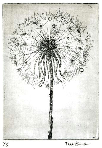 dandelion root drawing google search