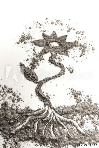 flower plant drawing illustration concept made od ash dust san