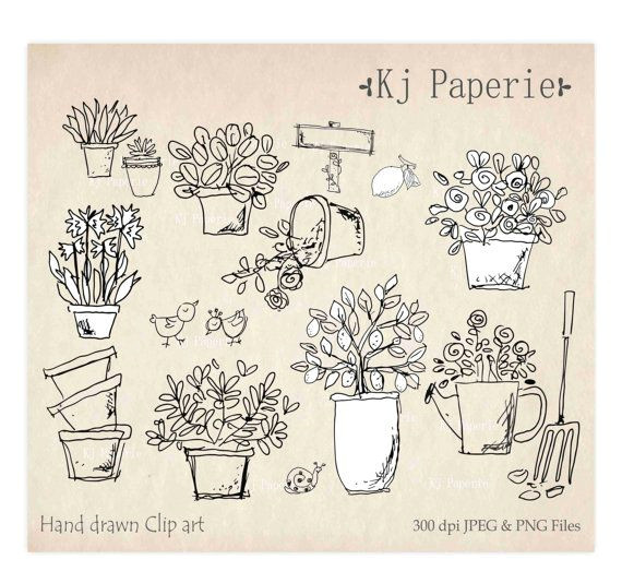 hand drawn garden plants clip art flowers clip art pot plants clip