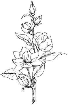 beccy s place magnolia love line drawings of flowers tattoo outline drawing flower