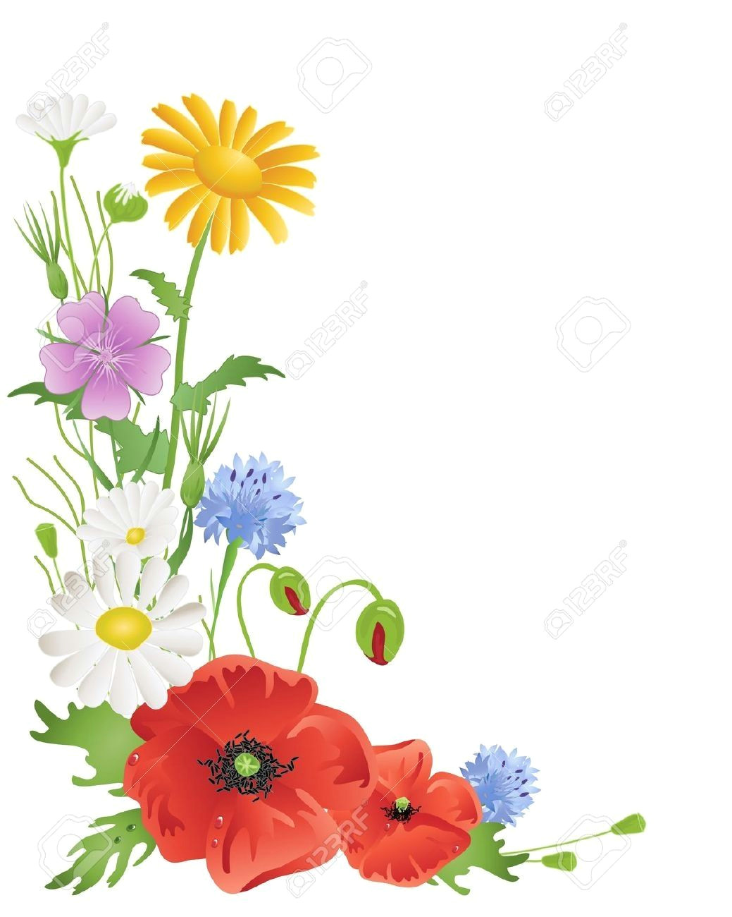 drawings of a bunch of wild flowers wildflowers borders clipart clipartsgram com