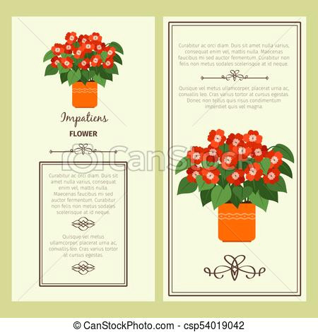 impatiens flower in pot banners csp54019042