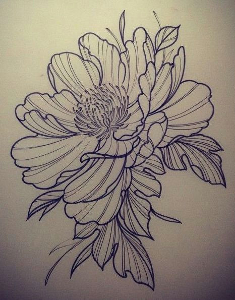 drawings tattoo designs tattoos flower tattoo designs
