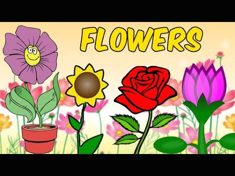 names of flowers with pictures in hindi hindi lessons for kids educational videos for kids youtube