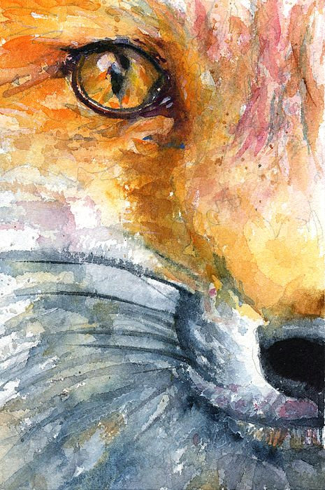 eye of fox 1 painting