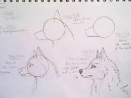 image result for drawing of wolf eyes