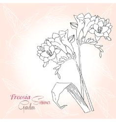 image result for freesia flower drawings