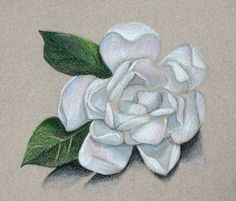 gardenia tattoo botanical art tattoo designs tattoo ideas watercolor art body