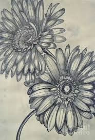 daisies drawing google search time tattoos sleeve tattoos tatoos flower drawings