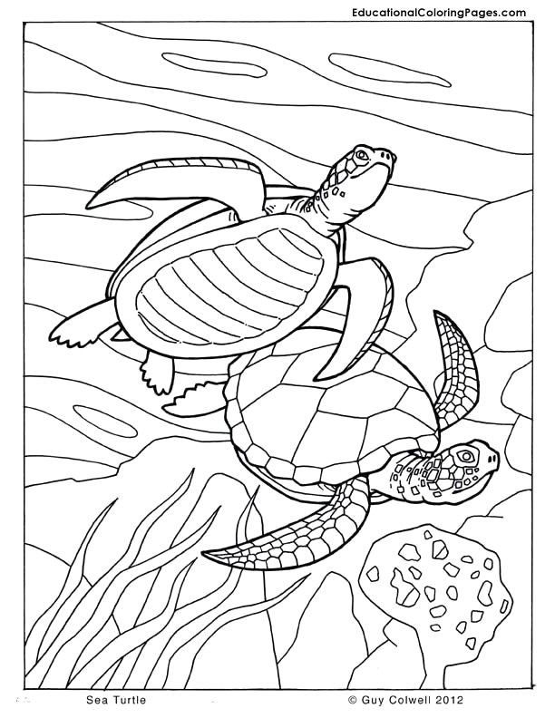 animal coloring pages free printable lovely girl scout law coloring pages free printable cds 0d