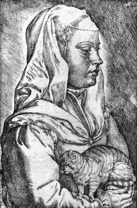 drawing of a woman wearing a head covering holding a kneeding cat probably getting covered in fur scan of 2 d images in the public domain believed to be