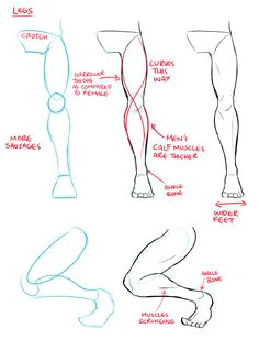 drawing male bodies drawing male anatomy how to draw anatomy drawing poses male