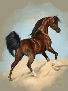 arabian horses in art