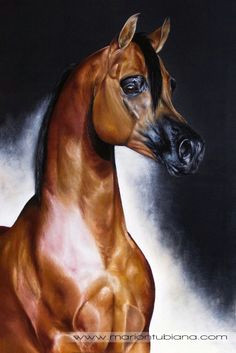 beautiful bay arabian painting