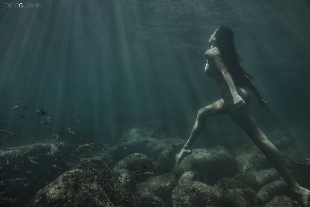 nereids a collection of underwater nudes