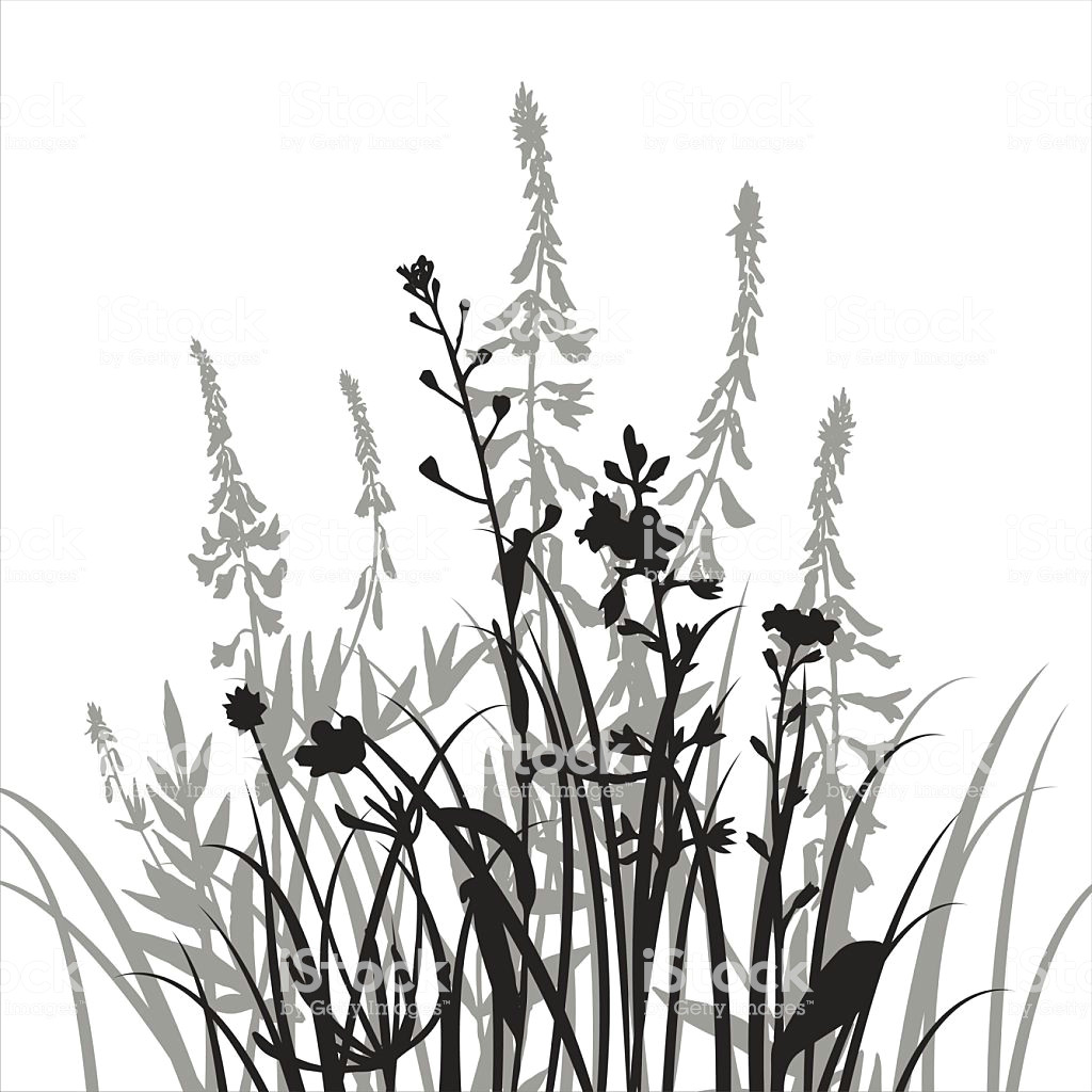 vector silhouettes of flowers and grass royalty free vector silhouettes of flowers and grass stock
