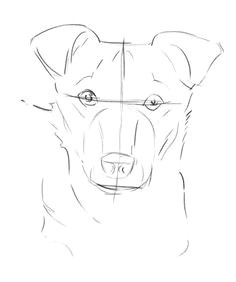 how to draw a dog dog drawing tutorial drawing tutorials drawing techniques how