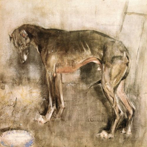 joseph crawhall 1861 1913 dog paintings dachshund dog portraits portrait