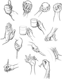 how to draw a hand hand reference human anatomy drawing reference