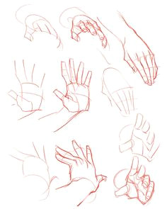 littleulvar anonymous said do you have a specific structure when drawing hands cause i you draw the most realest hands out there ps your art is